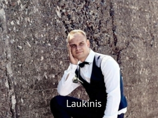 Laukinis