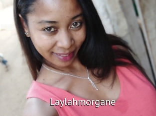 Laylahmorgane