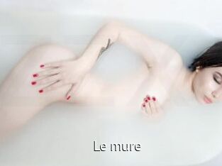 le_mure Zizi X