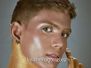 Leandrogonzlezh
