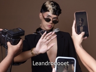 Leandrogooet