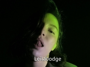 Leilabodge
