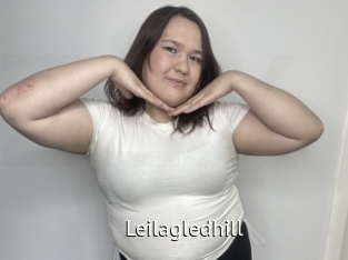 Leilagledhill