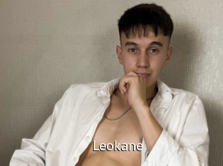 leokane Zizi X