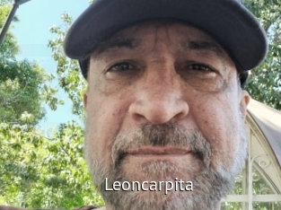 Leoncarpita