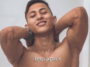 Leosixpack
