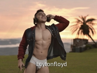 leytonfloyd Zizi X