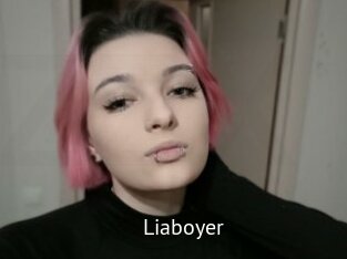 Liaboyer
