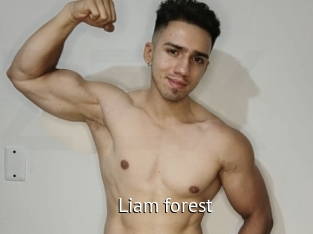 Liam_forest