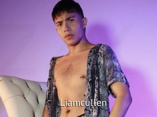 Liamcullen