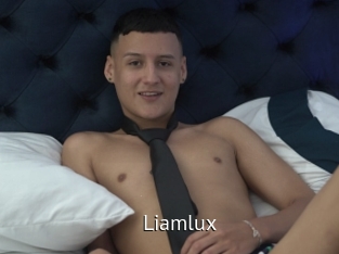 liamlux Zizi X