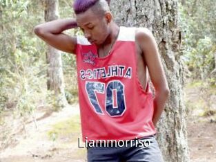 Liammorriso