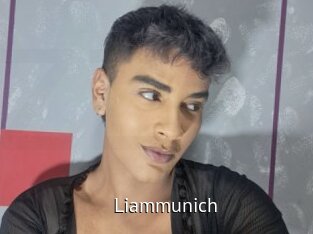 Liammunich