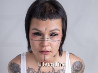 Lilacollina