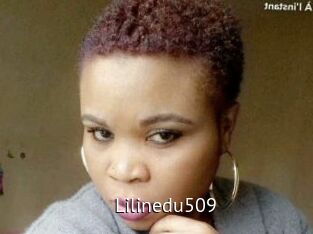 Lilinedu509