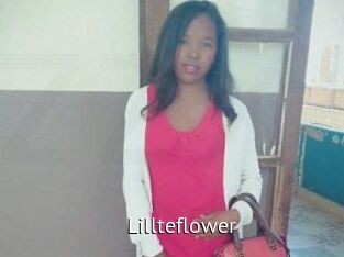 Lillteflower