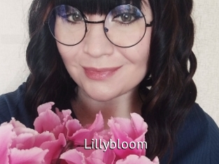 Lillybloom