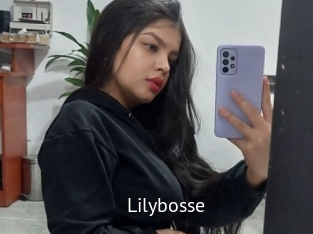 Lilybosse