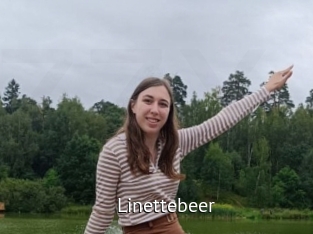 Linettebeer