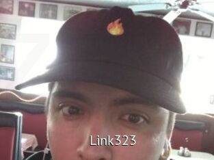 Link323
