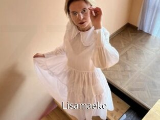 Lisamaeko