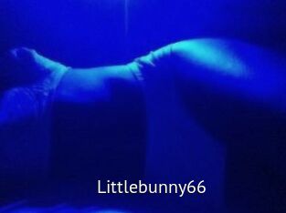Littlebunny66
