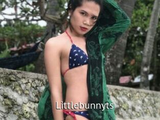 littlebunnyts Zizi X