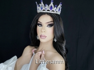 Littlesamm
