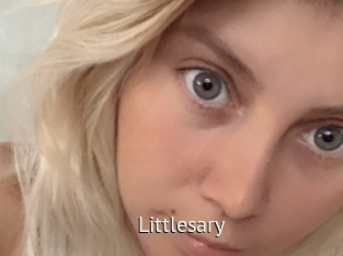 Littlesary