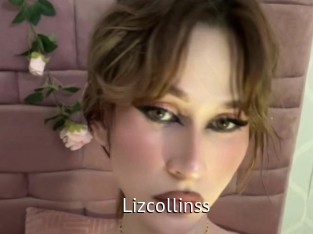 Lizcollinss