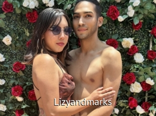 Lizyandmarks