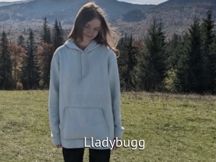 Lladybugg