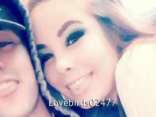 Lovebirds02477