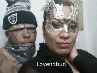 lovendbud Zizi X