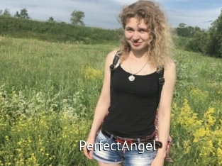 PerfectAngel