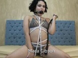 Maca_Gibson