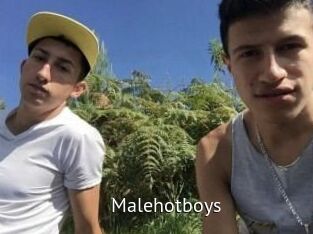 Malehotboys