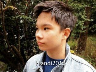 Mandi2013
