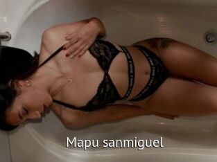 Mapu_sanmiguel