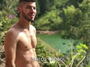 Marco_Tahani