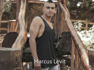 Marcus_Levit