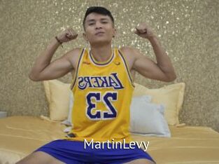 MartinLevy