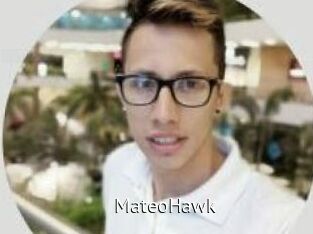 MateoHawk