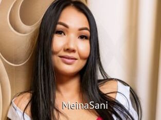 MeinaSani