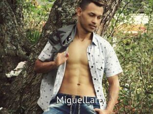 MiguelLarry