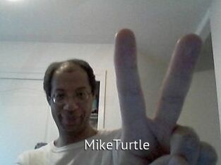 MikeTurtle