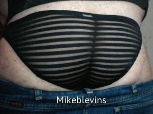 Mikeblevins