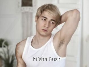 Misha_Bush