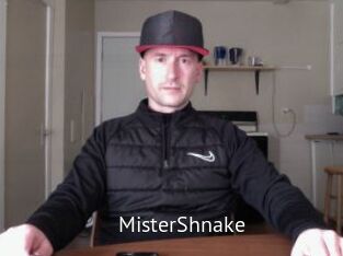 MisterShnake