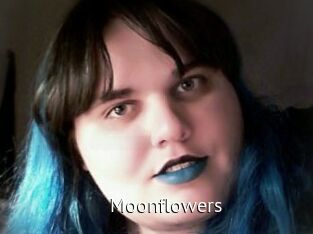 Moonflowers